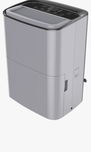 cat absorbers image
